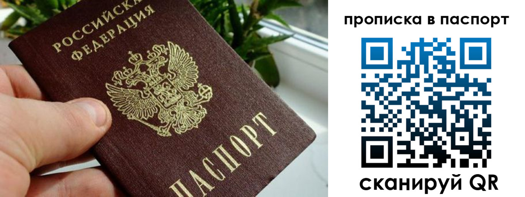пропишу в квартире в Скопине